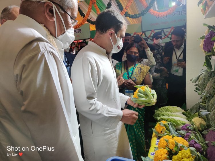 सांसद राहुल गांधी को लुभाया पांच रंगों की गोभी एवं बस्तर की कॉफी ने