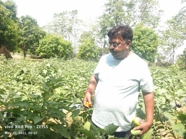 विधायक यू.डी. मिंज ने किसानों को आधुनिक खेती से जोड़ने खुद की 6 एकड़ जमीन में सब्जियों की खेती शुरू की