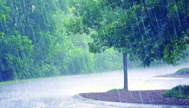 छत्तीसगढ़ के इन इलाकों में 27 जून को भारी बारिश की चेतावनी