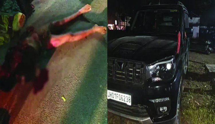 स्कॉर्पियो वाहन की ठोकर से सड़क किनारे बैठे युवक को मौत