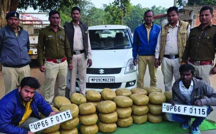 35 लाख रुपए का गांजा बरामद, घेराबंदी में पकड़े गए दो आरोपी