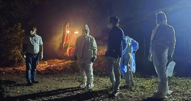 छत्तीसगढ़ में बर्ड फ्लू ने दी दस्तक, इसे जिले में मुर्गी और अंडे की बिक्री पर लगा प्रतिबंध
