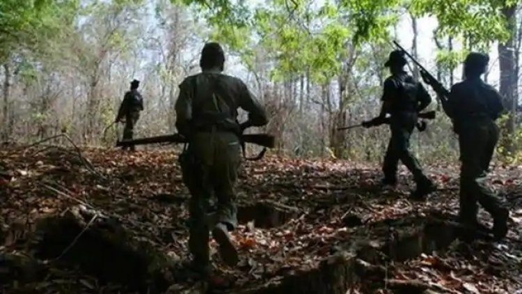 कान्हा में मुठभेड़: 3 महिला नक्सली ढेर, हथियार बरामद...