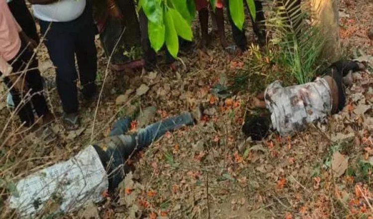 पेड़ से टकराई तेज रफ्तर बाइक, दो युवकों की मौत, एक गंभीर