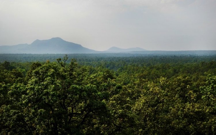 हसदेव अरण्य में कोयला खनन को राज्य से हरी झंडी