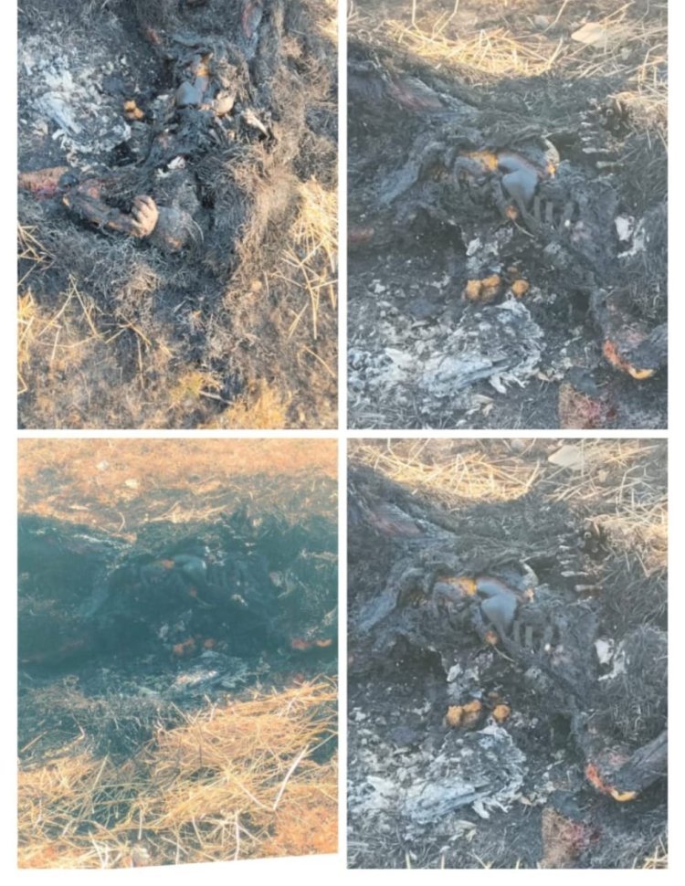 दुर्ग: उतई के पुरई गांव में महिला की जली हुई लाश मिली, इलाके में दहशत