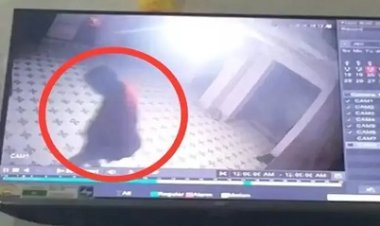 नगरी साईं मंदिर में चोरी, दानपेटी लूटने वाला चोर CCTV में कैद