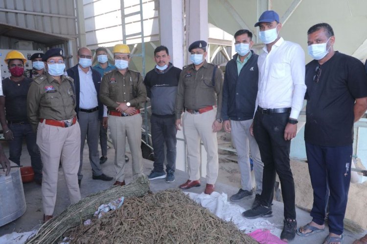 मुंगेली पुलिस ने नष्ट की 20.54 लाख की नशीली सामग्री