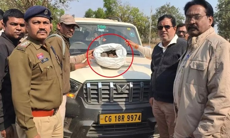 चेकिंग के दौरान स्कॉर्पियो से बरामद हुआ पैंगोलिन, तस्कर फरार...