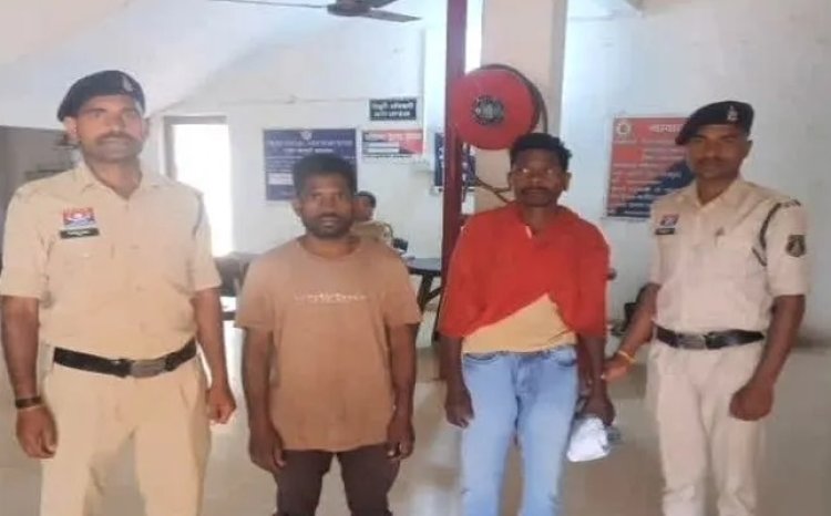 बलरामपुर में अफीम की खेती: 2 गिरफ्तार, मुख्य आरोपी फरार