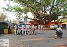 संजय मार्केट में अवैध तोता बिक्री पर वन विभाग की कार्रवाई, हमला करने वाले आरोपियों पर एफआईआर दर्ज