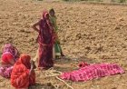 सरगुजा में नवविवाहिता ने लगाई फांसी, मायके पक्ष ने ससुराल वालों पर प्रताड़ना का लगाया आरोप