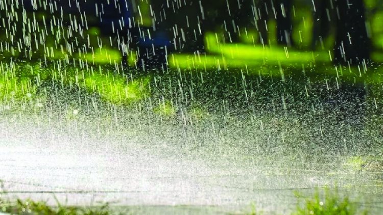 मानसून ने पकड़ी रफ्तार, कई राज्यों में भारी बारिश का अलर्ट; केरल में पेड़ गिरने से युवक की मौत