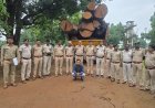 कोरबा वन मंडल ने की 20 घनमीटर अवैध साल लकड़ी बरामद,मुख्य आरोपी गिरफ्तार