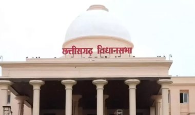 महतारी वंदन पोर्टल कब खुलेगा? अपने ही विधायक के सवाल पर सरकार नहीं दे पाई तारीख