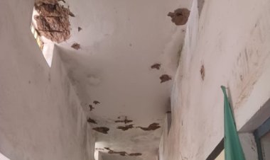 जर्जर स्कूल भवन से नाराज ग्रामीणों ने जड़ा ताला, बोले- पहले सुरक्षा फिर पढ़ाई